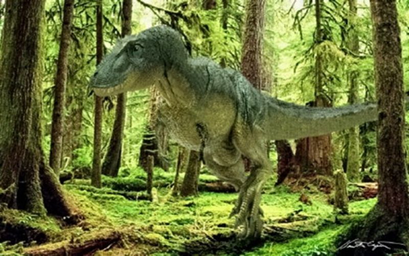 让人惊叹的动物有哪些,令人惊艳的17种动物绝对罕见