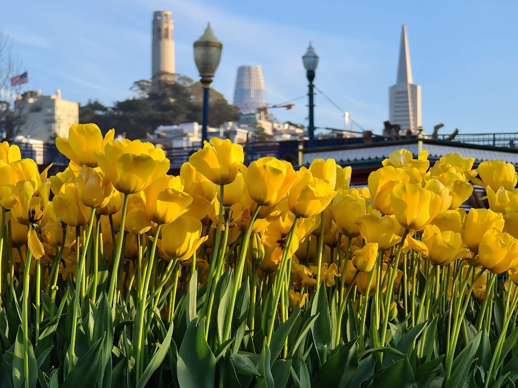 三星galaxys20ultra5g拍摄,三星galaxys20系列5g手机上手