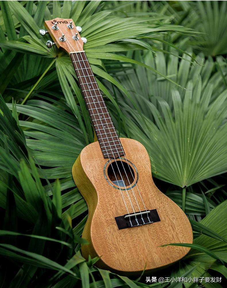 怎样选一把好的尤克里里,十大入门级尤克里里推荐