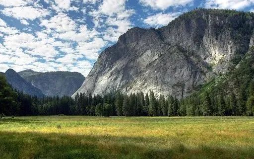 火车冒着黑烟呼啸而过,火车冒着浓烟从丛林出来