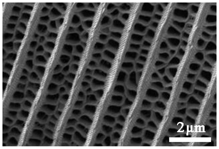 荷叶效应视频大全,荷叶效应原理运用在哪些方面
