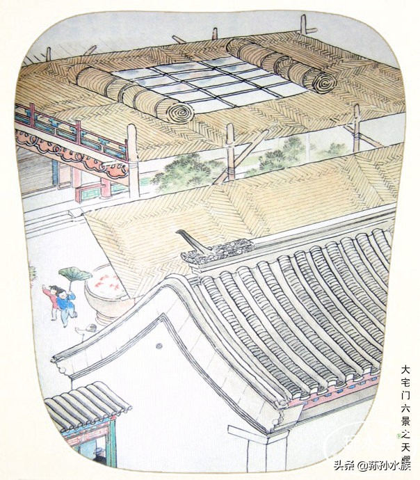 古法养金鱼高手,古法养金鱼抽底