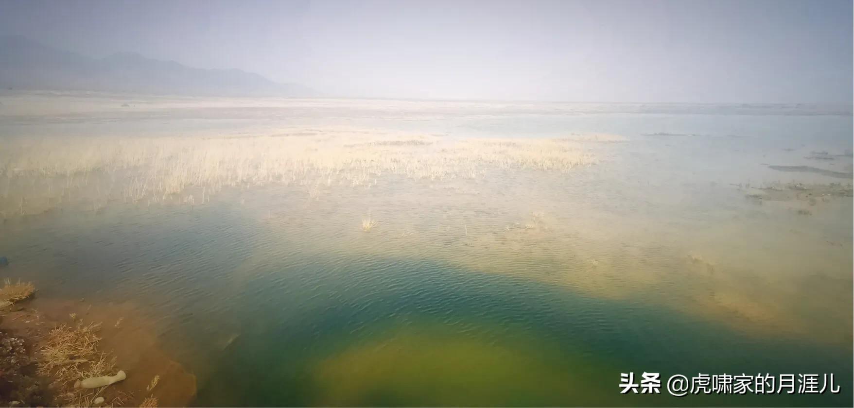 青海记忆丨自驾经过迷离的柯柯盐湖，在小柴旦湖的清冷之美中晨练