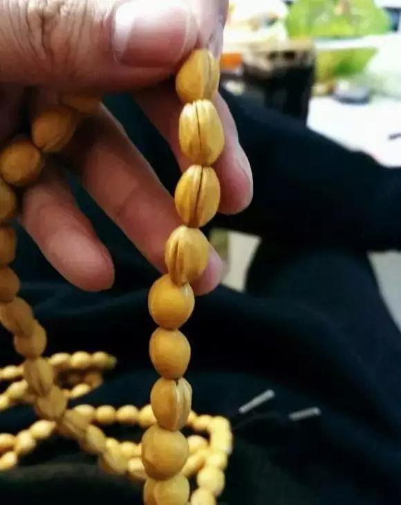 吃剩的水果核不要丢弃,吃剩的樱桃籽能种吗