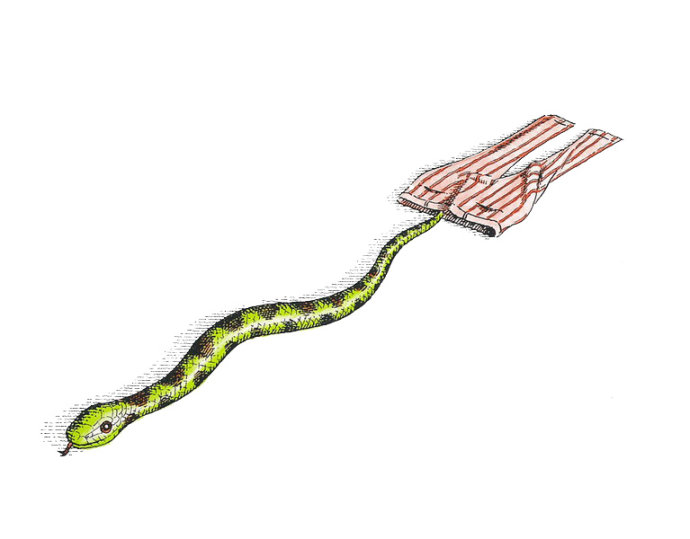 有意思的儿童绘本推荐书单,很有趣的小孩书