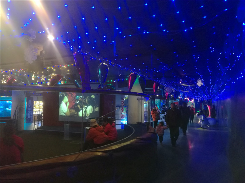 富国海底世界京津冀,游富国海底世界