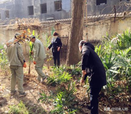 郑州杏苑社区疫情防控,疫情防控社区治理新变化