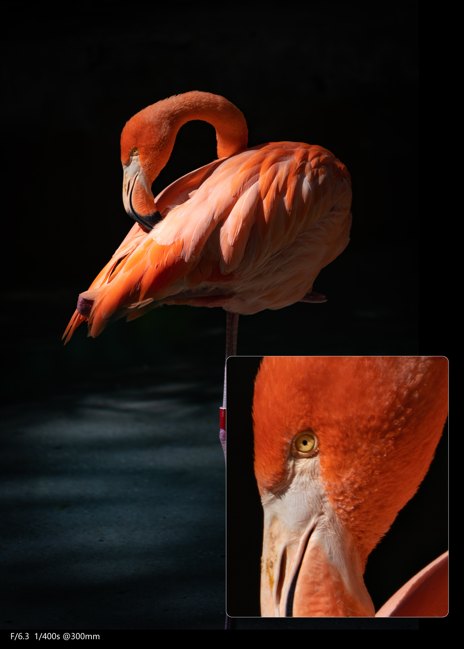 全画幅腾龙70-300,腾龙70-300e卡口