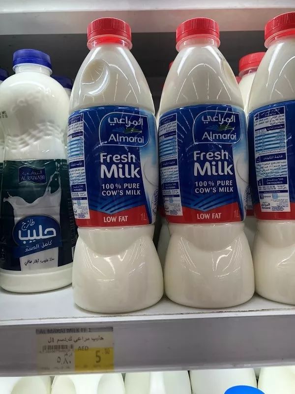 新加坡和迪拜生活成本,迪拜生活费用价目表