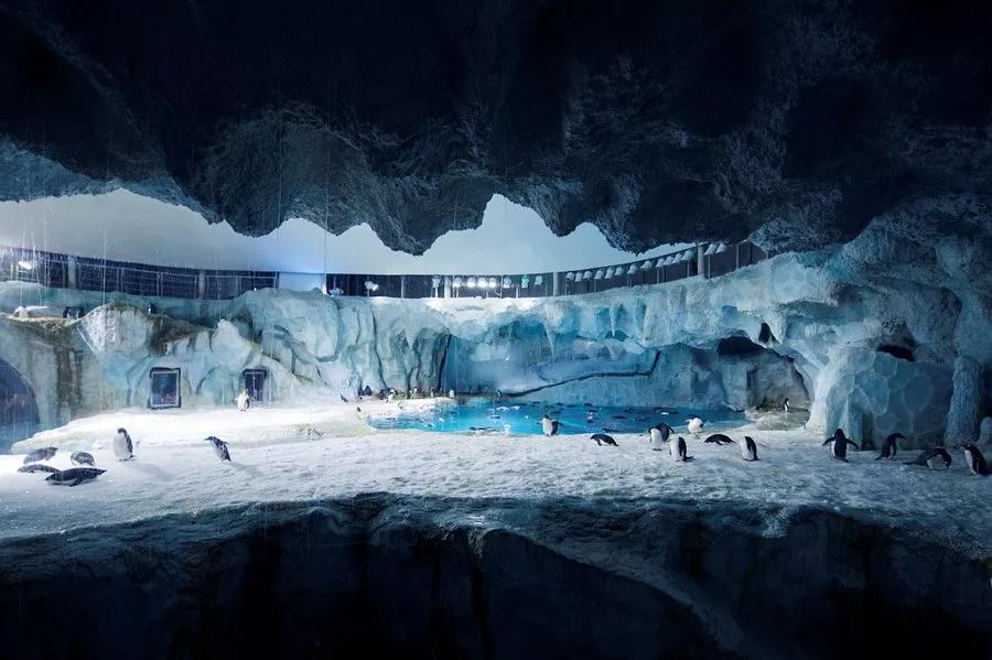 珠海长隆海洋王国建造,珠海长隆海洋王国海底房顶