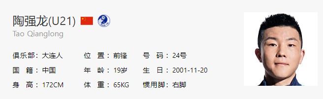 中国足坛陨落天才视频,中国足坛十大天才