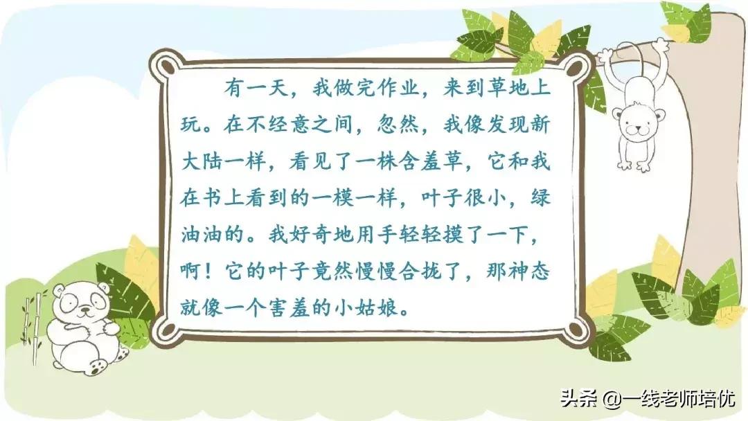 部编版语文第5单元三年级上册,部编版三年级语文上册第三单元