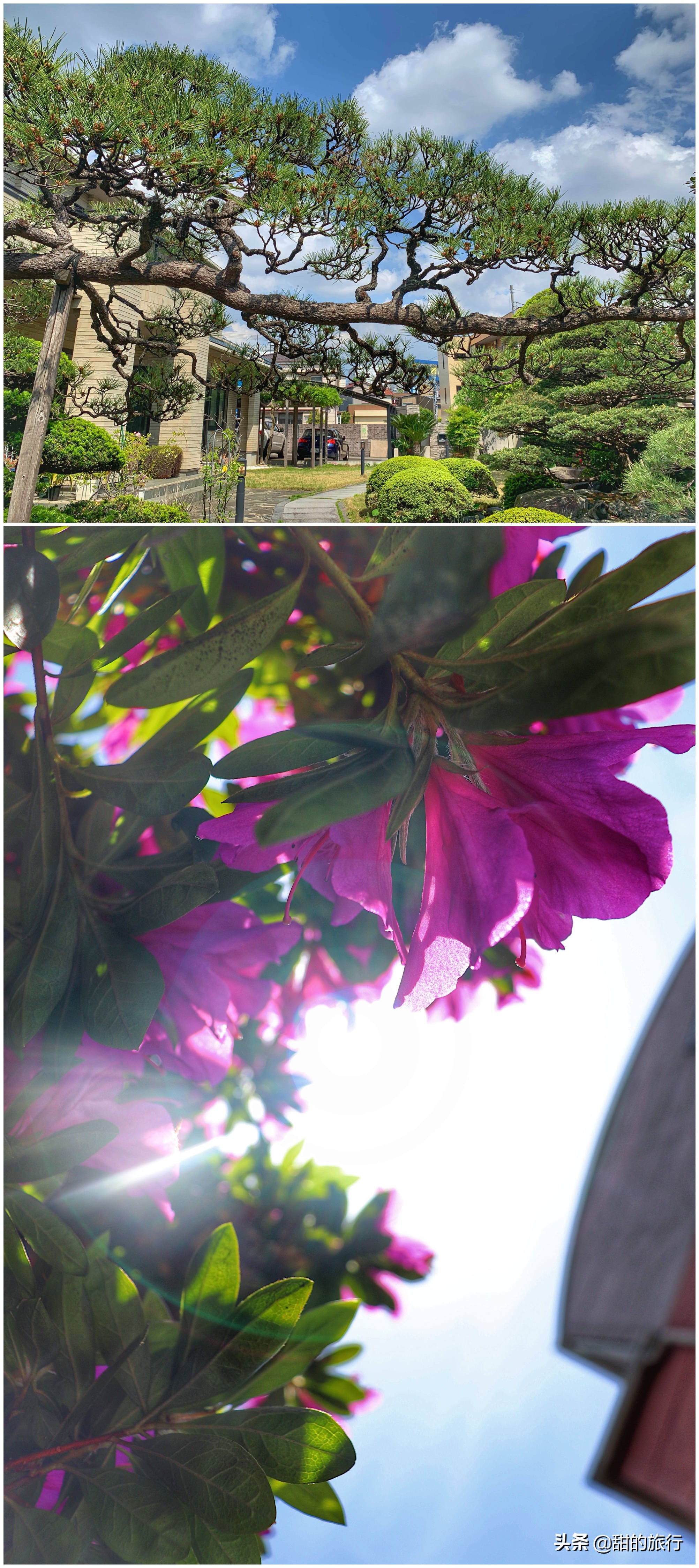 日本东京亲子旅游,东京超干货迪士尼一日游攻略