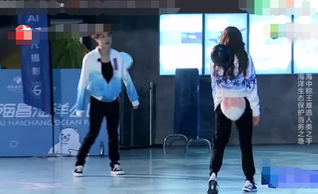 热巴张艺兴极限挑战路透上海,极限挑战张艺兴邓超黄磊