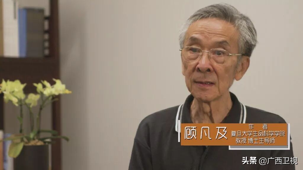 大脑被开发到100有多厉害,最强大脑是怎样炼成的