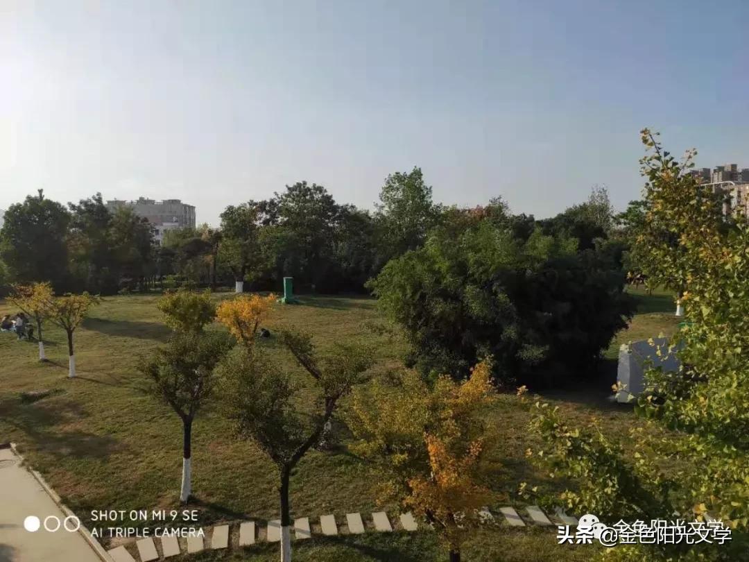 快乐星期六剪辑,快乐星期六摆造型