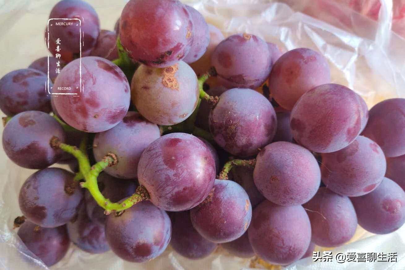 葡萄怎样洗得干净又好吃,立秋后葡萄怎么用磷酸二氢钾