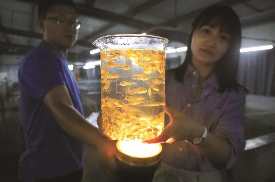 舟山:红色火种燎原千岛大地幸福之城温暖无数人心