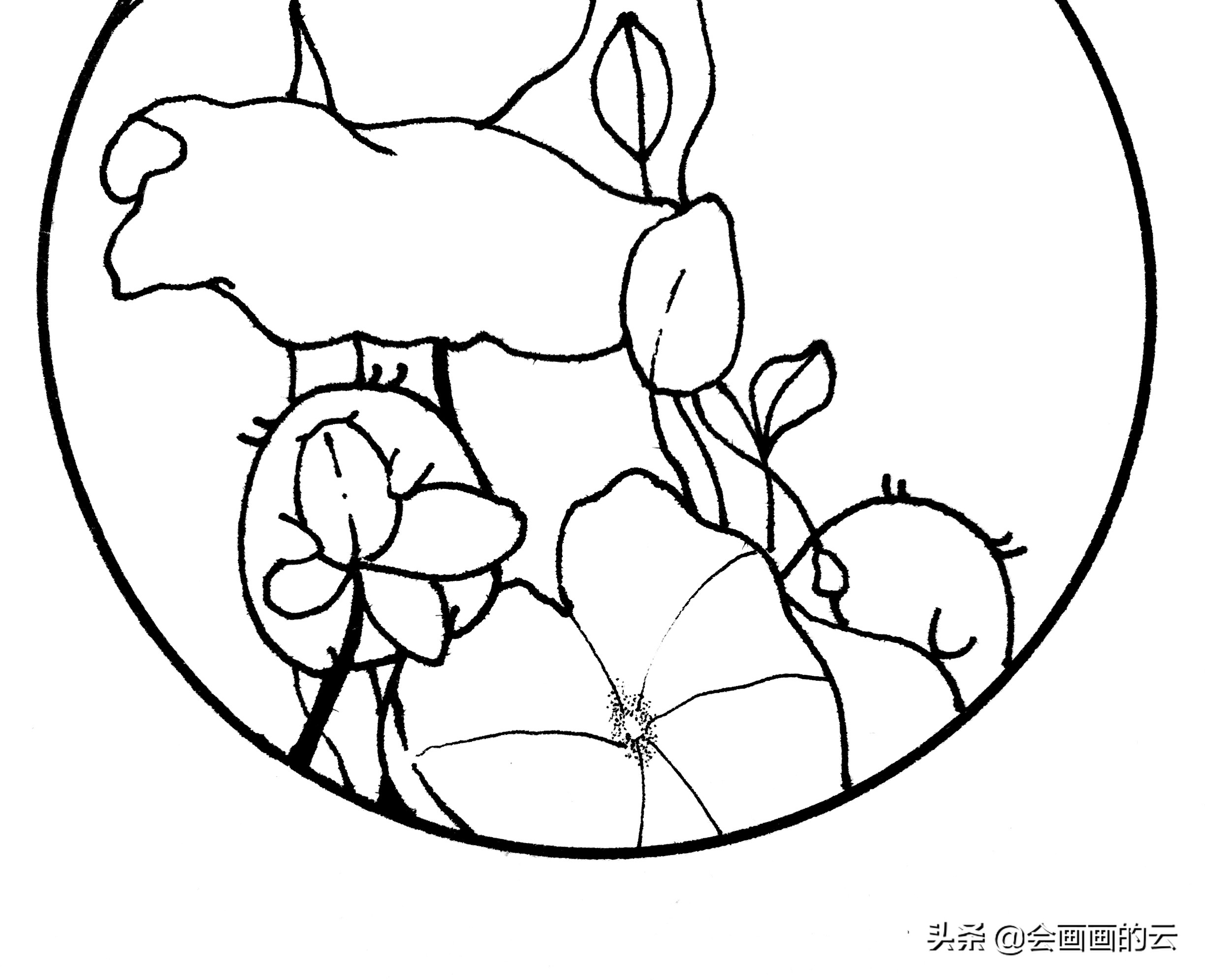 二次元简笔画教程新手入门必备,画画新手必练300图简笔画