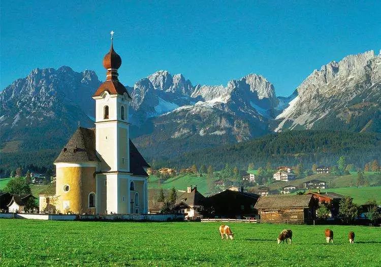 中国有机农业的道路应该如何寻找,有机农业中国农业