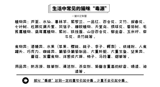 猫咪疑似中毒该怎么急救,猫咪中毒了如何急救