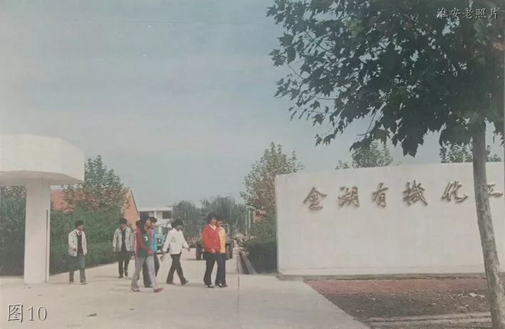 金湖老照片,金湖化肥厂老照片