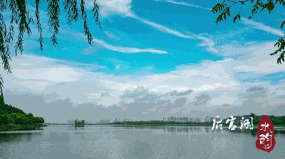 武汉蔡甸后官湖湿地公园,武汉后官湖湿地公园门票