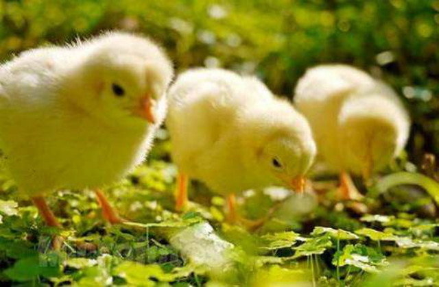 从日薪5元到亿万身家,从周薪5美元到美国首富