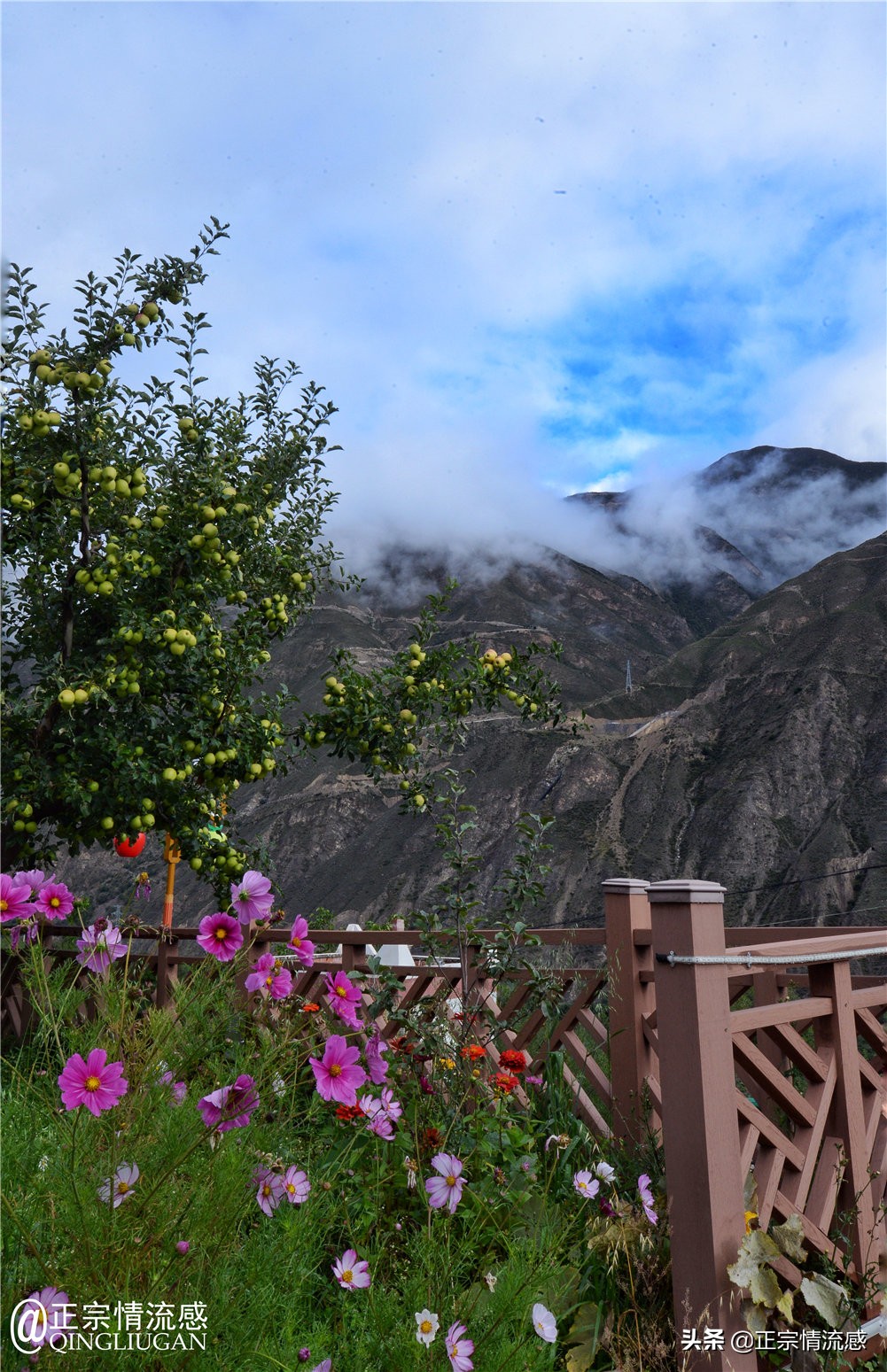 夜色成都串串爽,魅力小金苹果香#国庆中秋趣哪玩#