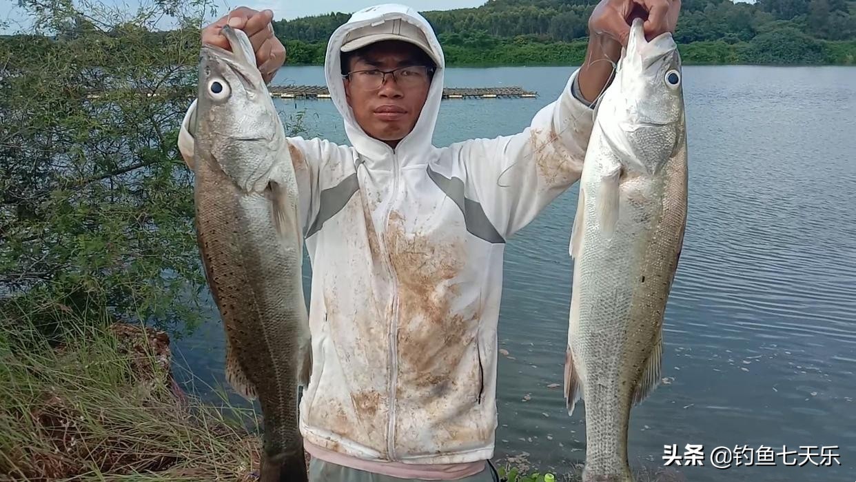 靠海钓捞鱼致富,海钓渔民一年能赚多少