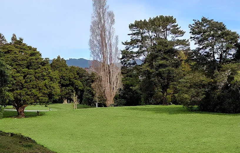 带你打卡《指环王》影迷朝圣地——惠林顿，魔术与艺术的奇幻之旅