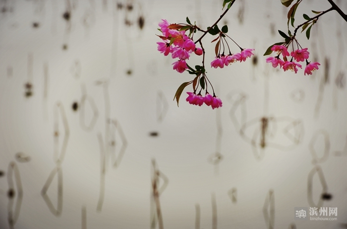 滨州摄影师吕维君：用心感受每一次快门的灵动