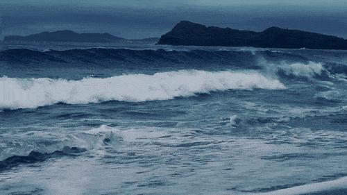 珠海一日游攻略小红书,珠海旅游网红打卡必去的地方