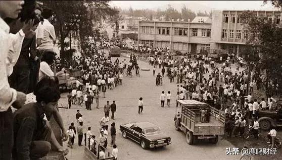 深圳蛇口前世今生,蛇口马老板前世今生