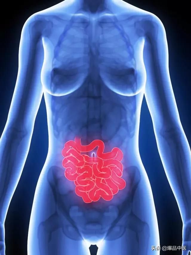 全息望诊大全视频,浅议生物全息律与中医望诊