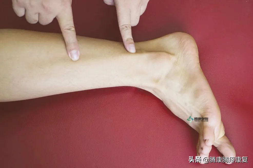 足外翻如何按摩腓骨长肌儿童,足外翻怎样调整腓骨长肌