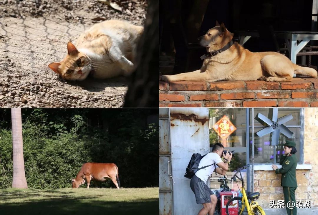 10年红专厂│广州文艺青年的圣地，在一步步远去
