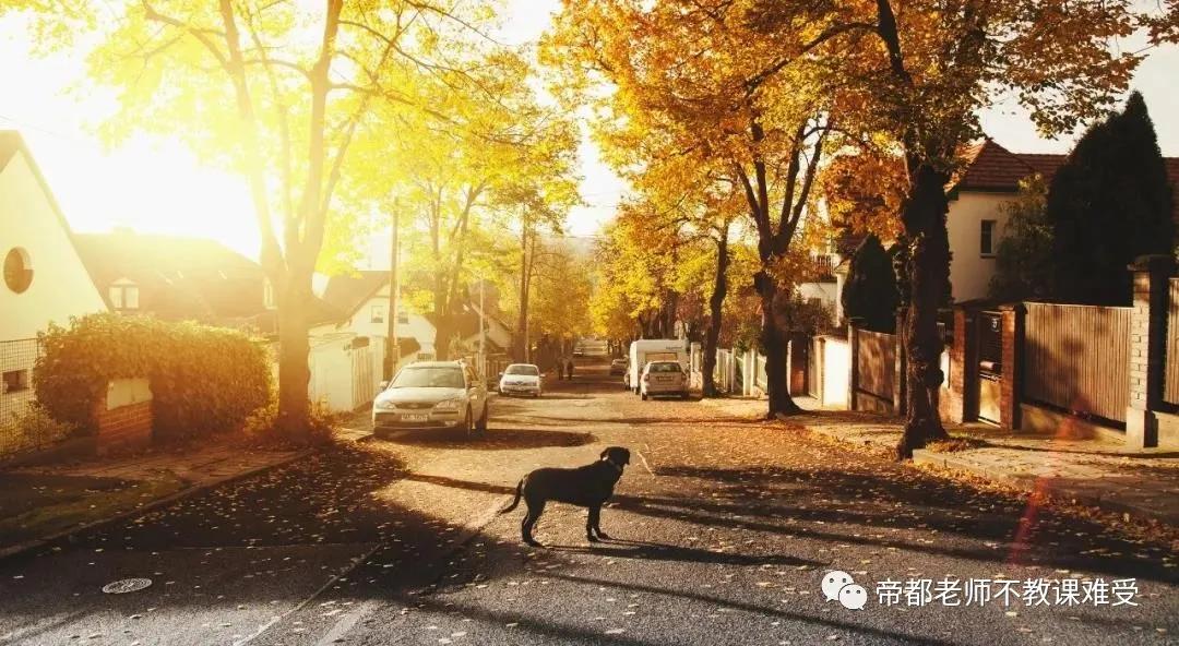 孩子学钢琴有哪些好处,孩子学钢琴有什么作用