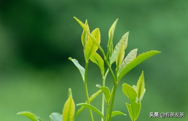 幽默笑话大全笑到肚子疼小朋友,幽默笑话大全笑到肚子疼孩子