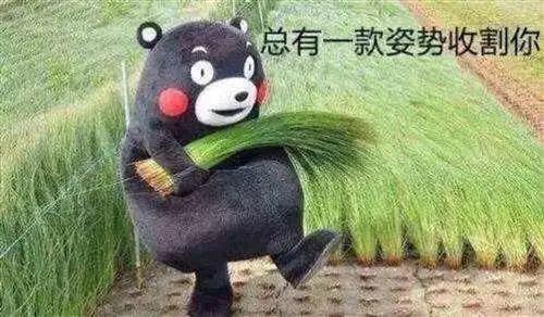 618薅羊毛,青铜才会相信降价清单,王者都去搜品牌商声明了