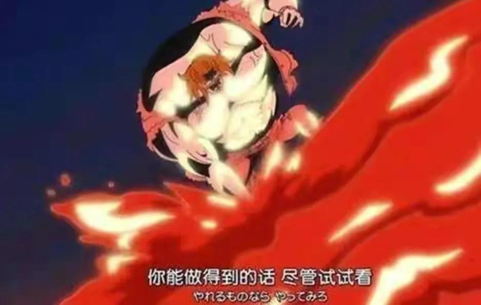 海贼王机械甲,海贼王里特殊的武器