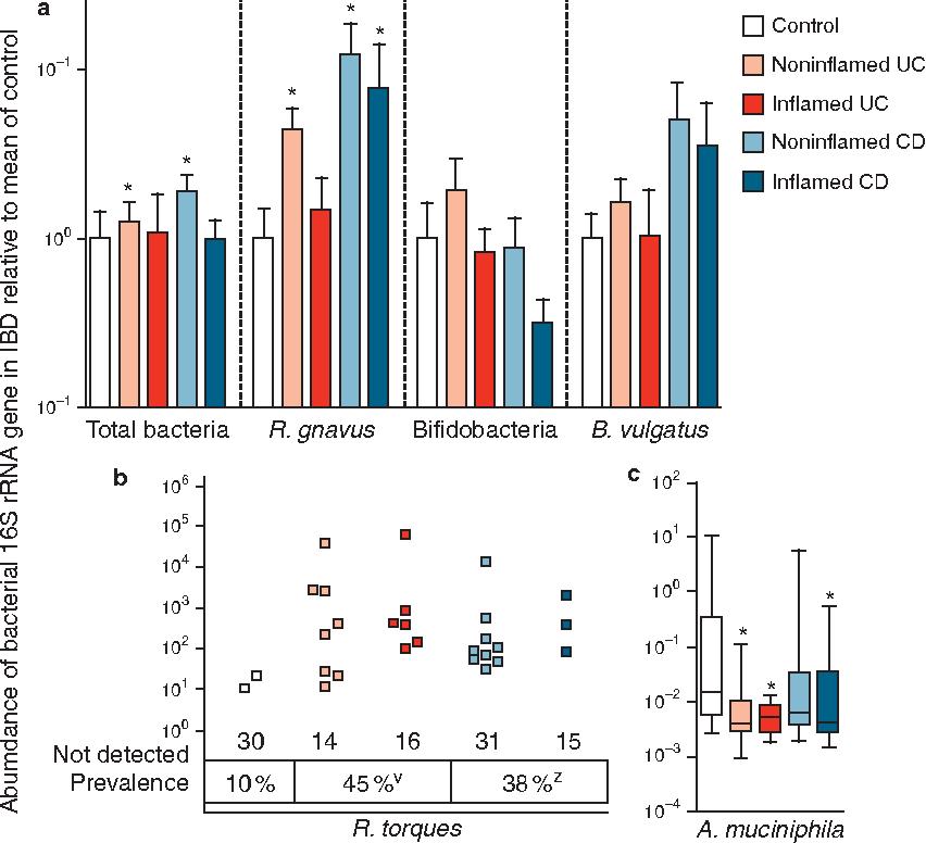 利用宿主分泌的粘蛋白“为食”的Akk菌