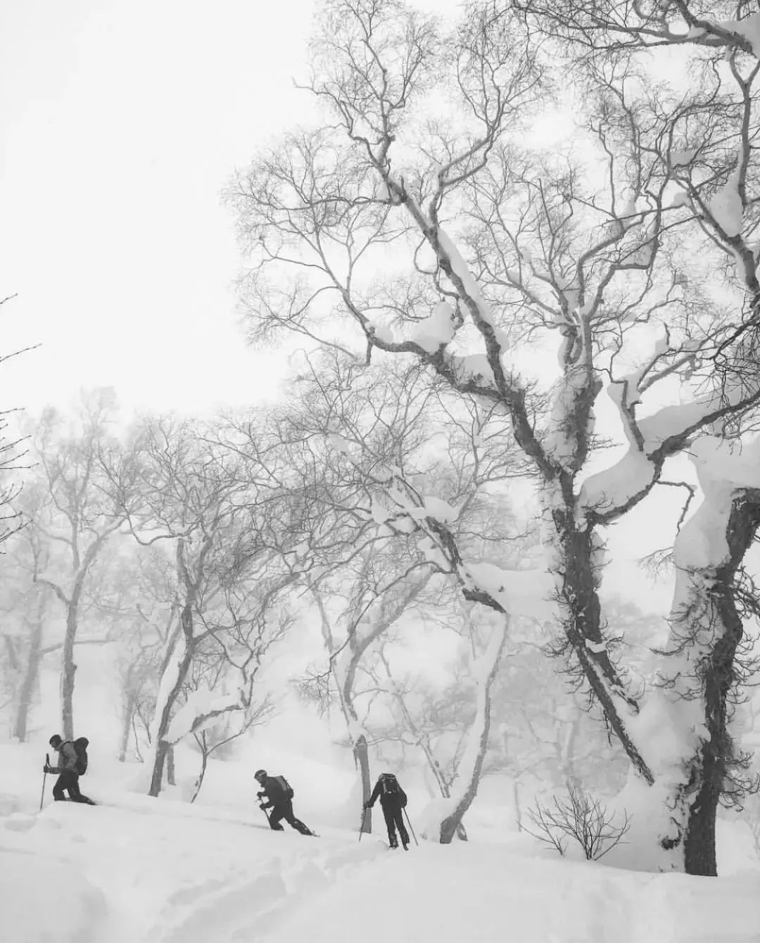 北海道滑雪自由行攻略,北海道冰雪之旅视频