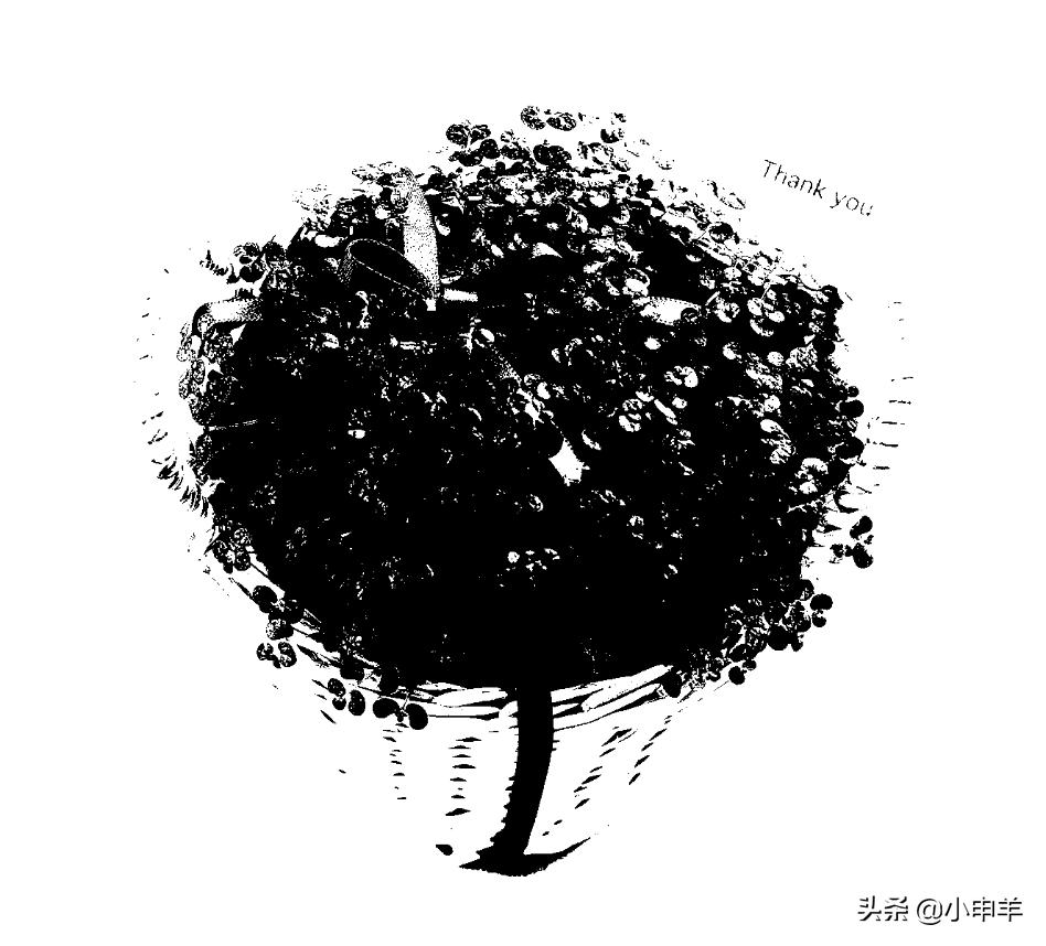 ps抠图怎么减少选区,ps里抠图用选区抠图怎么弄