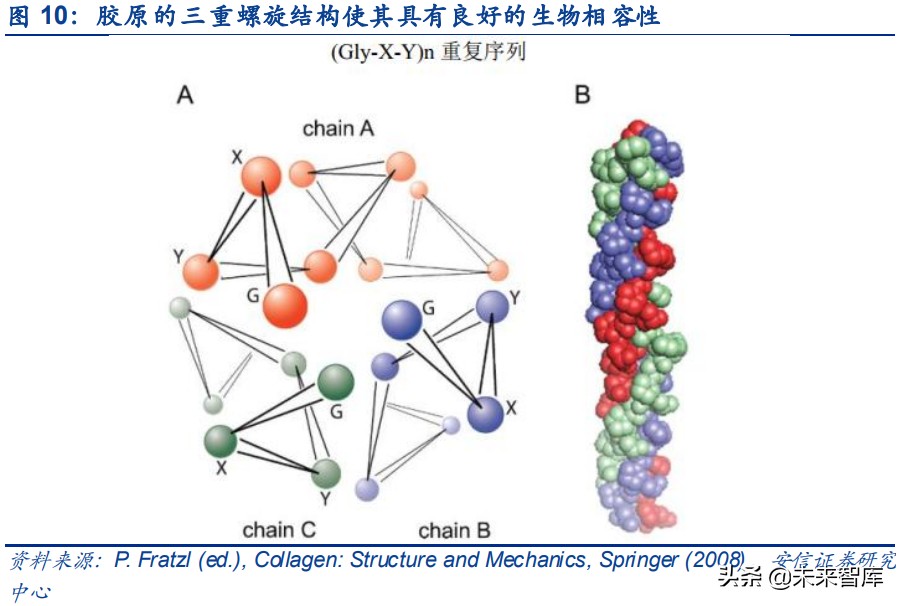 胶原蛋白在大健康行业的应用,胶原蛋白的新材料