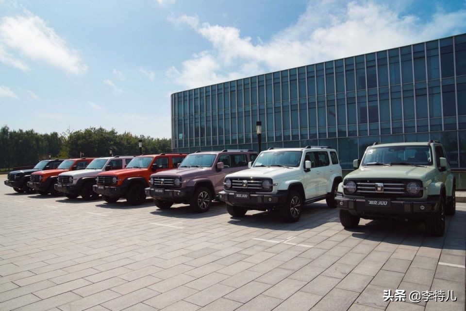 坦克300火爆的原因,坦克300动力试驾真实感受