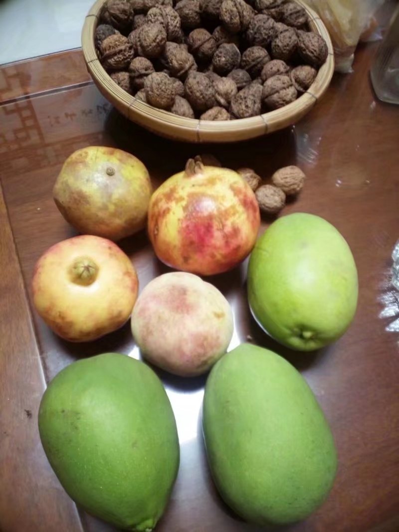 我们的童年时光,我们的童年舞蹈