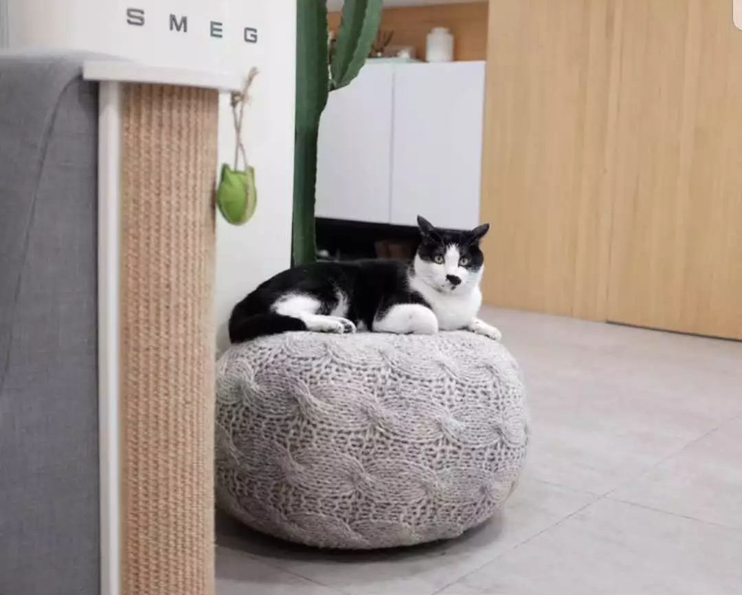 北欧简约风主卧婚房,小户型北欧风格婚房装修