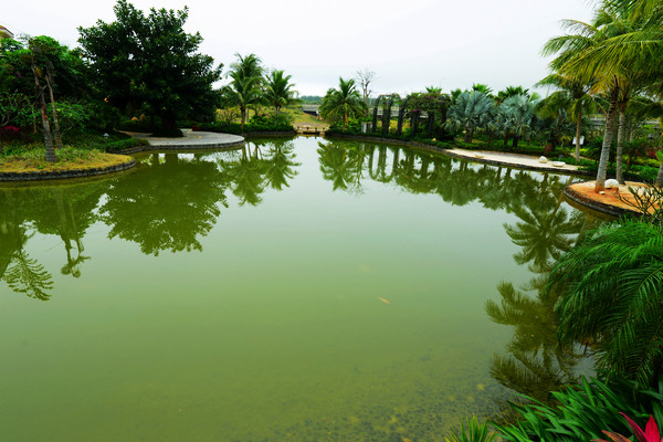 幸亏我来了再不来素材就没了,海南月亮湾的夜晚