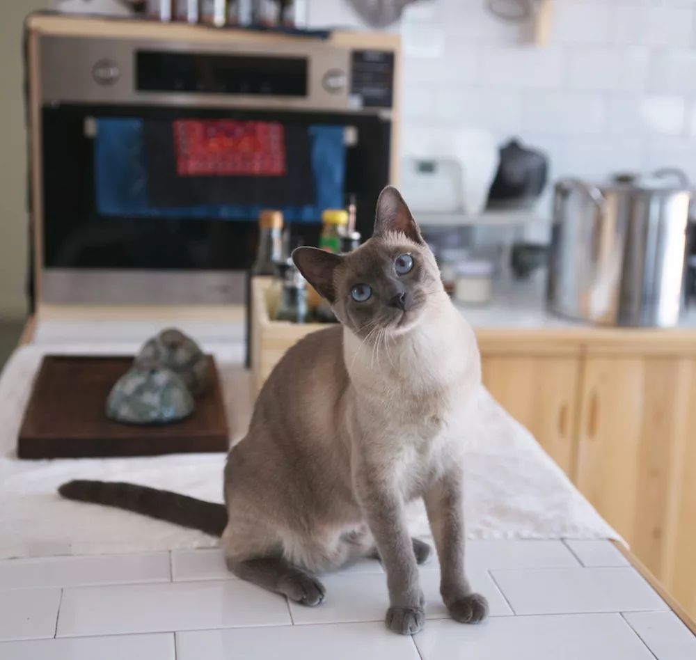 用水泥砌橱柜,用粘土做迷你橱柜